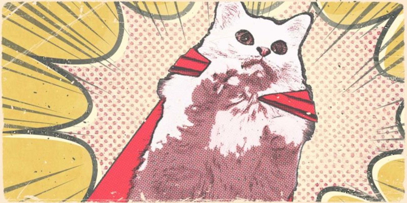 Supercats Adoption Event 2018-05-26