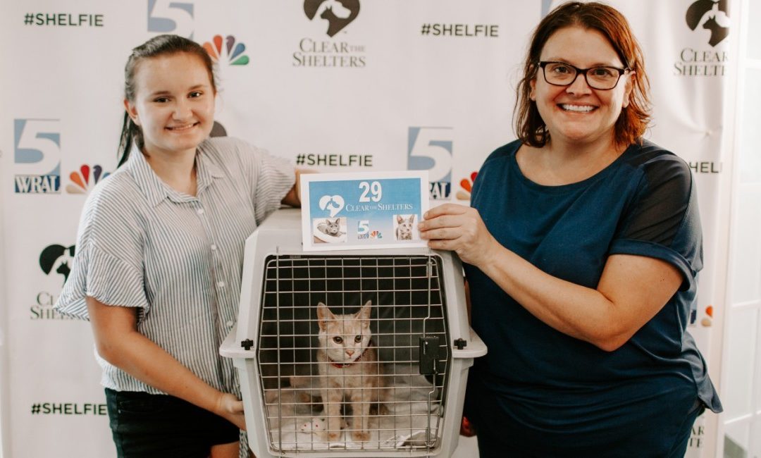 2018-08-21 News Header