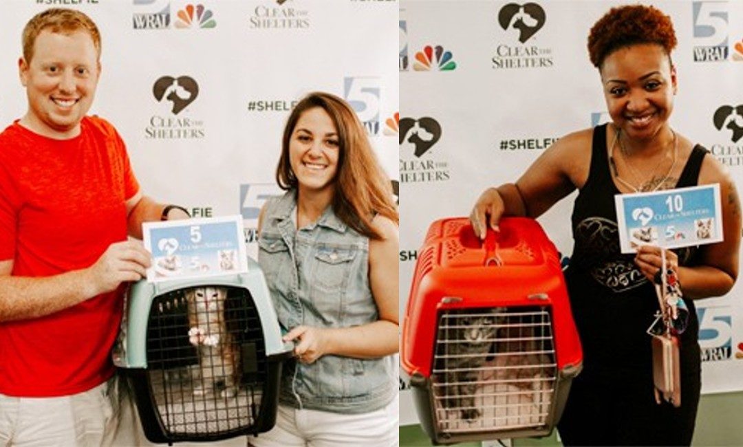 Hello - Can You Help?