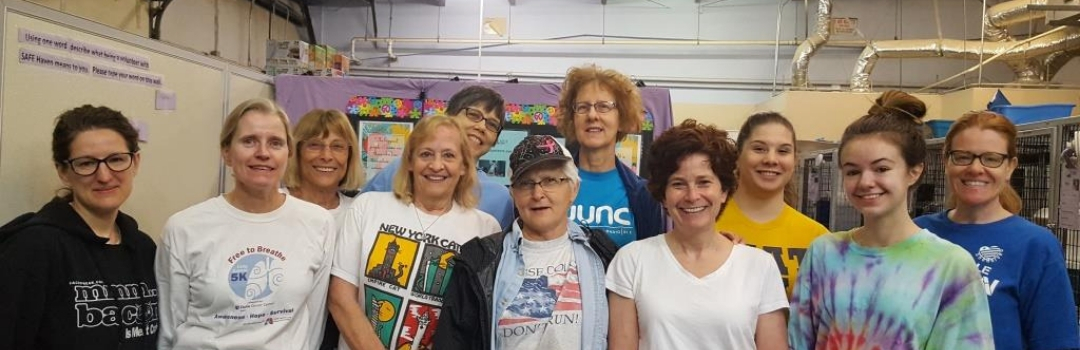 Image of SAFE Haven Volunteers