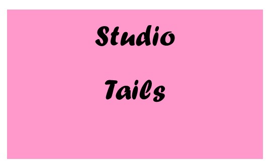 2019 Cat Fest 5k Vendor Studio Tails