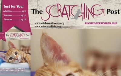 The Scratching Post: September 2020