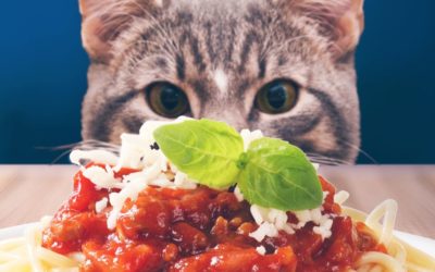 Let’s snip pet overpopulation!