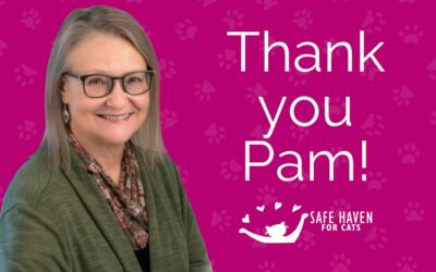 Farewell and Thank You Pam!