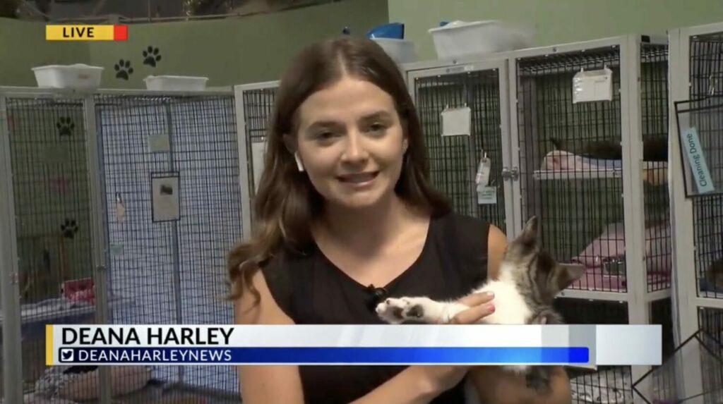 Screenshot 2023-05-23 at 2.01.00 PM