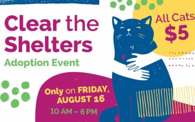 What to Expect at Clear the Shelters