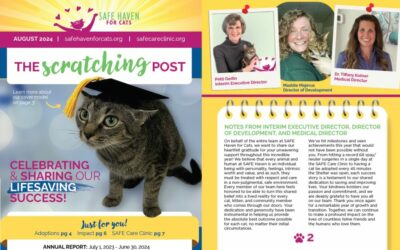 The Scratching Post: Fall 2024