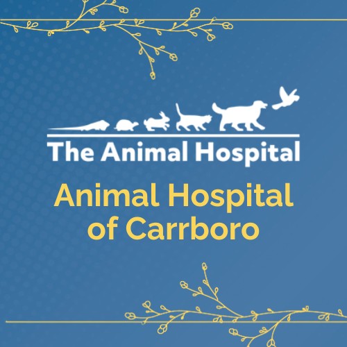 2025 TCB Champions Sponsor - Animal Hospital of Carrboro